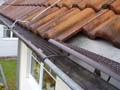 files/img_service/dachreinigung/laubschutz-teaser.jpg